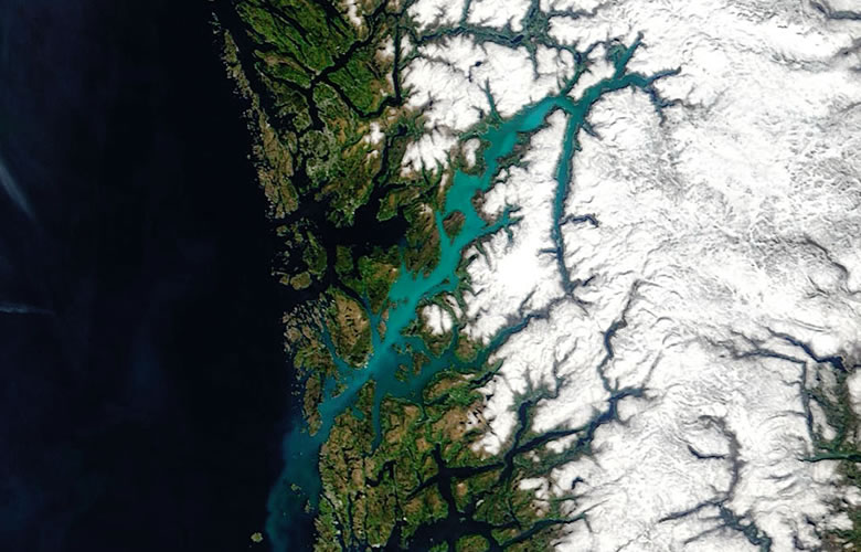 Phytoplankton Bloom in a Norwegian Fjord