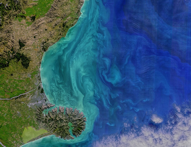 Phytoplankton Bloom off the eastern coast of South Island, New Zealand