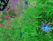 Washington Satellite Image