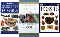 Fossil Books