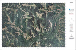 Custom printed aerial photo