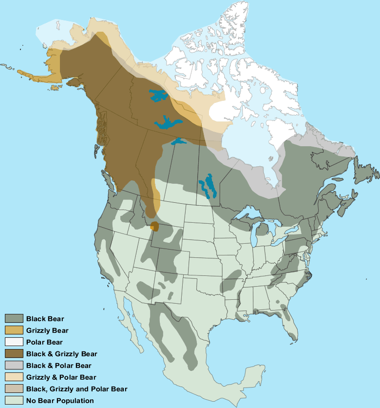 North America's bear areas map