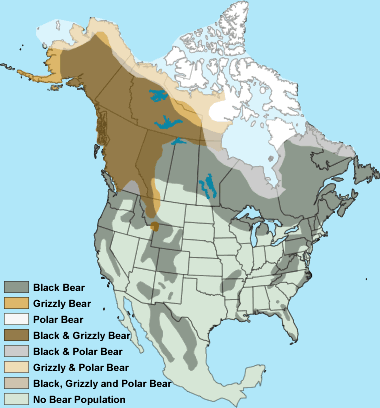 North American bear map