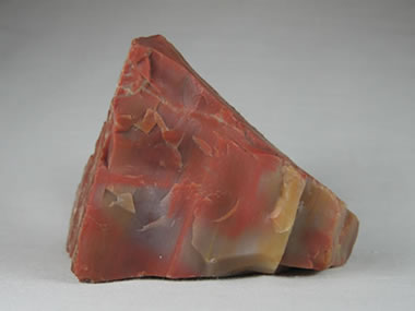 Arizona Petrified Wood