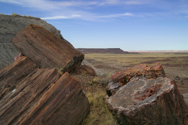 petrified wood - image by the National Park Service
