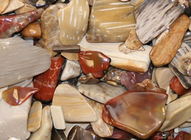 tumbled petrified wood