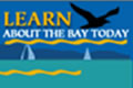 learn about the bay
