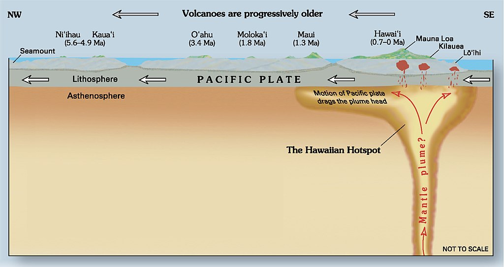 Hawaiian Hot Spot