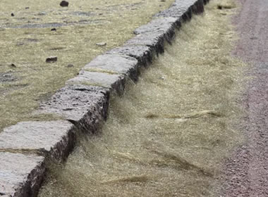 Pele's Hair blown by the wind