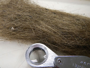 Pele's Hair