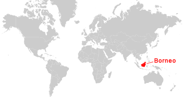 Bolen B Icha Mu Sk Podepsat Borneo On World Map Kared Cit T Bezpo Et   Map Of Borneo 