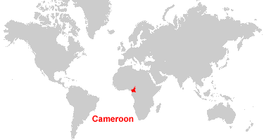 Cameroon Map And Satellite Image