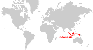 Indonesia Map And Satellite Image