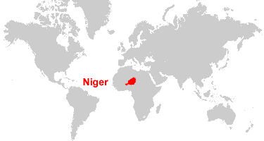 Niger On A World Map Niger Map And Satellite Image